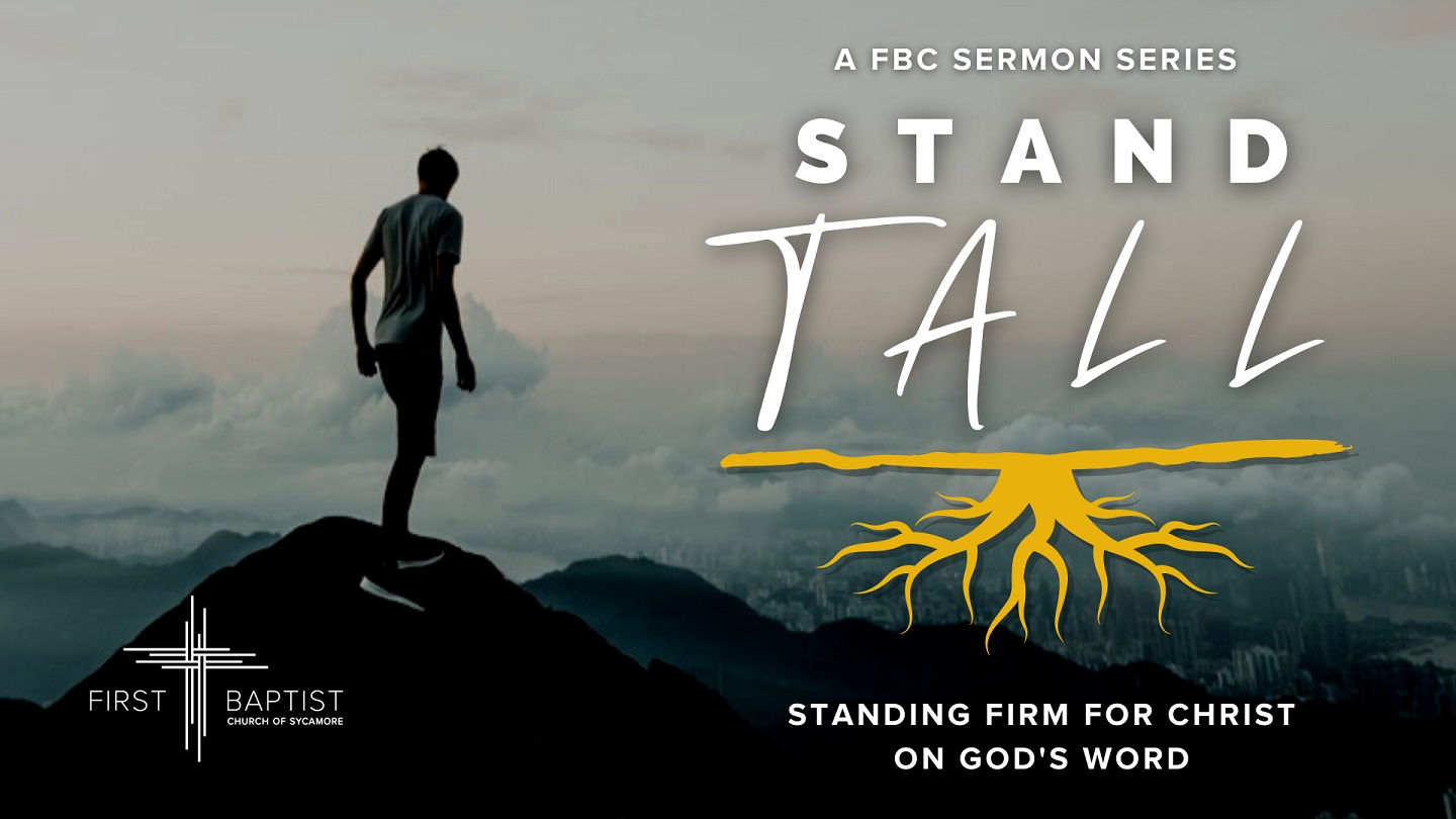 Stand Tall Series Come To First